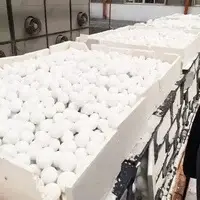 Ceramic Grinding Media